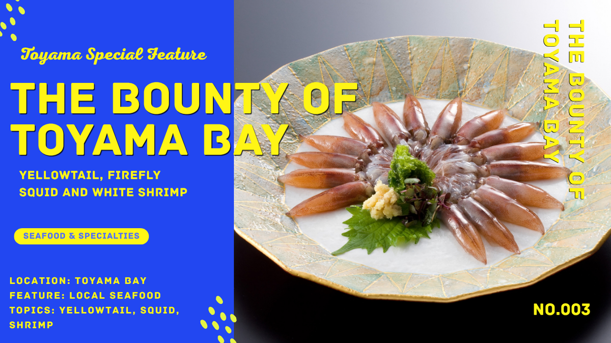 Toyama Bay Seafood Guide | Yellowtail, Firefly Squid & White Shrimp