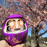 Daruma_Purple