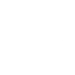 Mikan